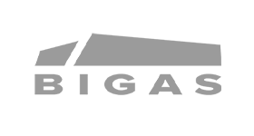 9-bigas